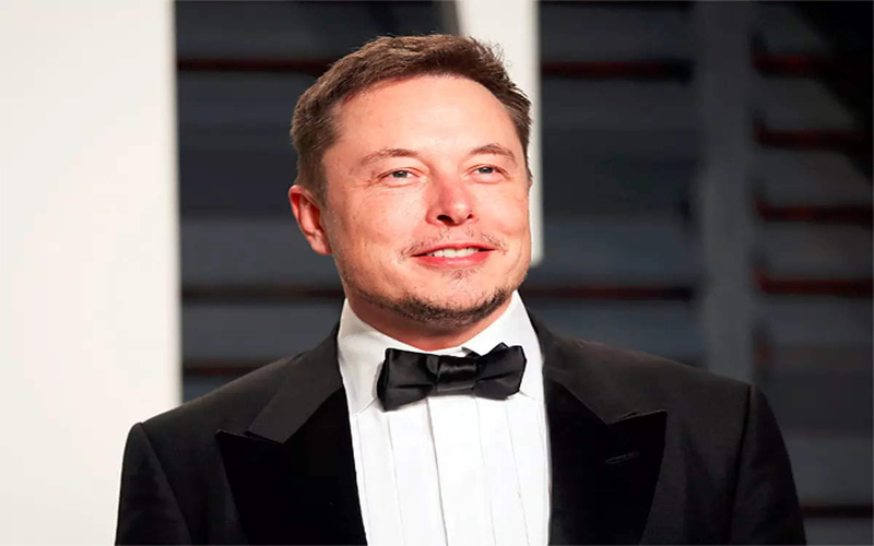musk family