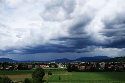 weather forecast