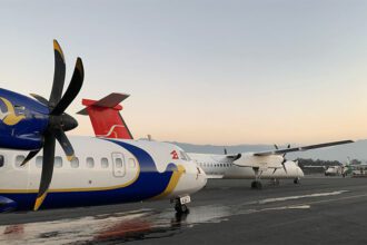 domestic airlines