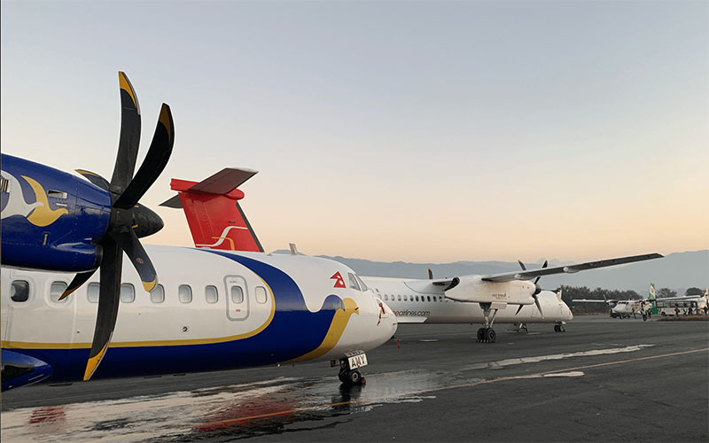 domestic airlines
