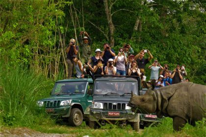 chitwan national park jungle sufari
