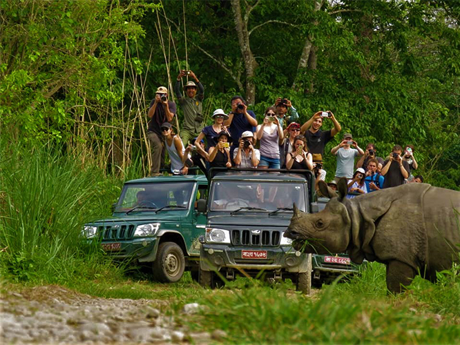 chitwan national park jungle sufari