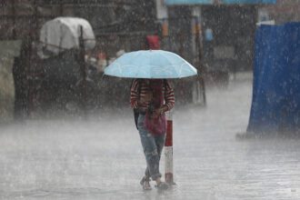 पानि पर्दै