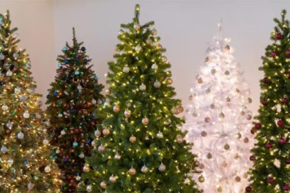 chrismas tree