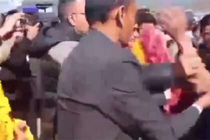 kp oli