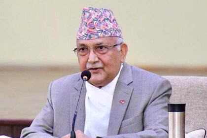 kp oli