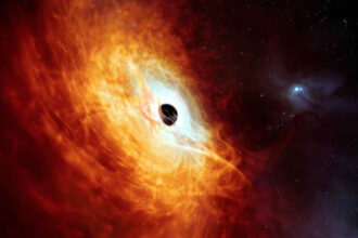 black whole